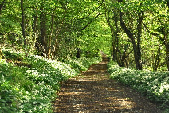 Broseley Walks