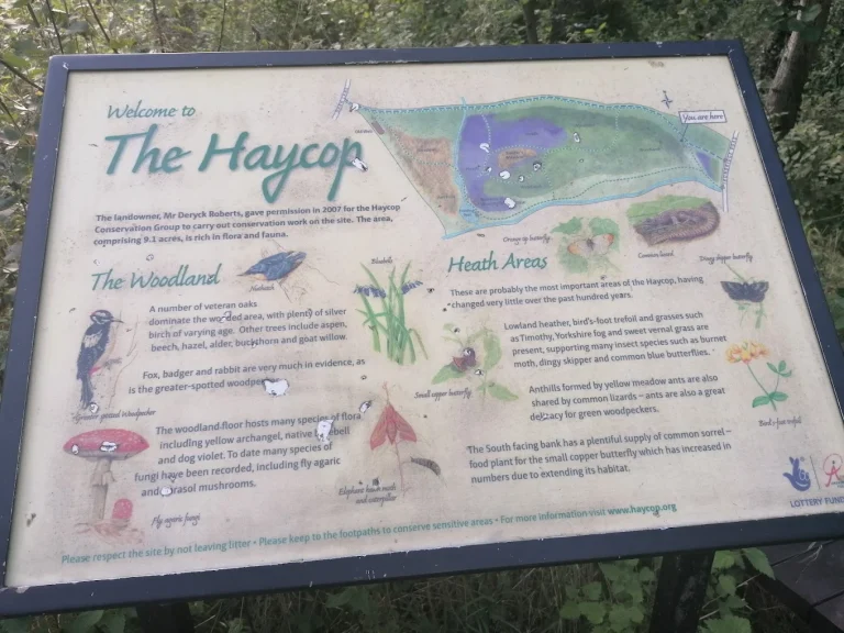 haycop 3 768x576